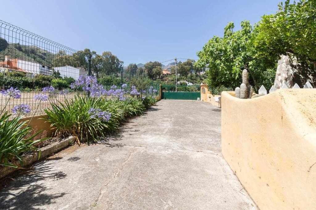 Villa Ojuelos Gran Canaria Vega de San Mateo Ngoại thất bức ảnh